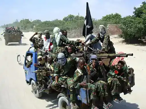 (terrorist attack):