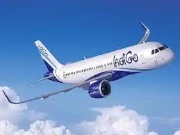 (indigo flight)