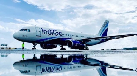 indigo