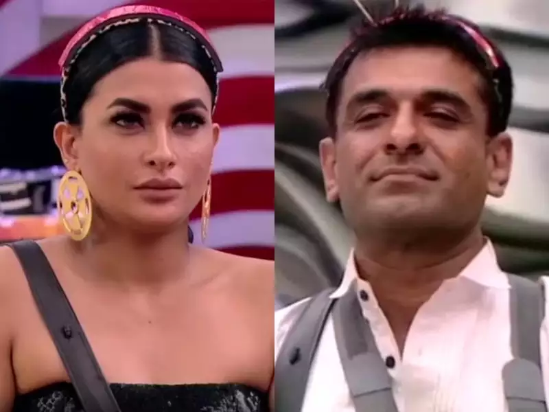    (Bigg Boss) 