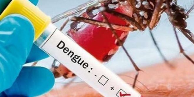 (dengue patients):