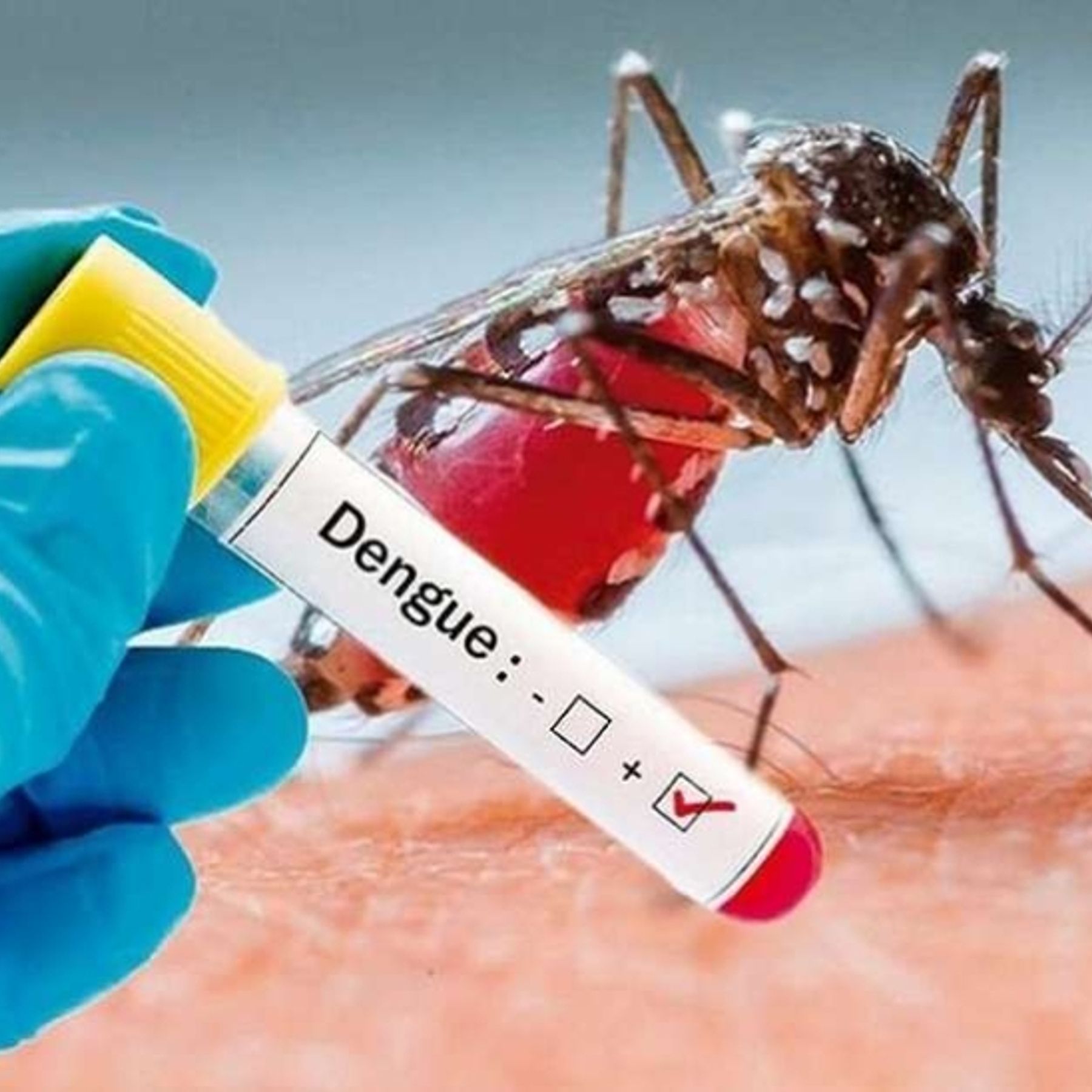 (dengue patients):