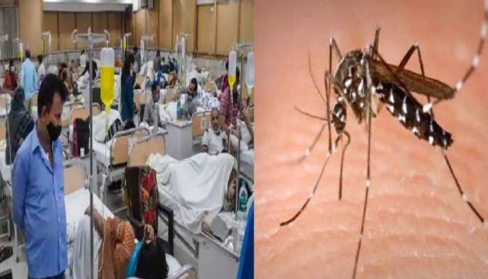 (dengue infection):