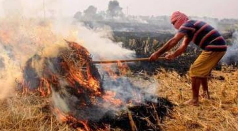 अधिकारी ने पर्यावरण को दूषित होने से बचने के लिए किसानों को जागरूक किया