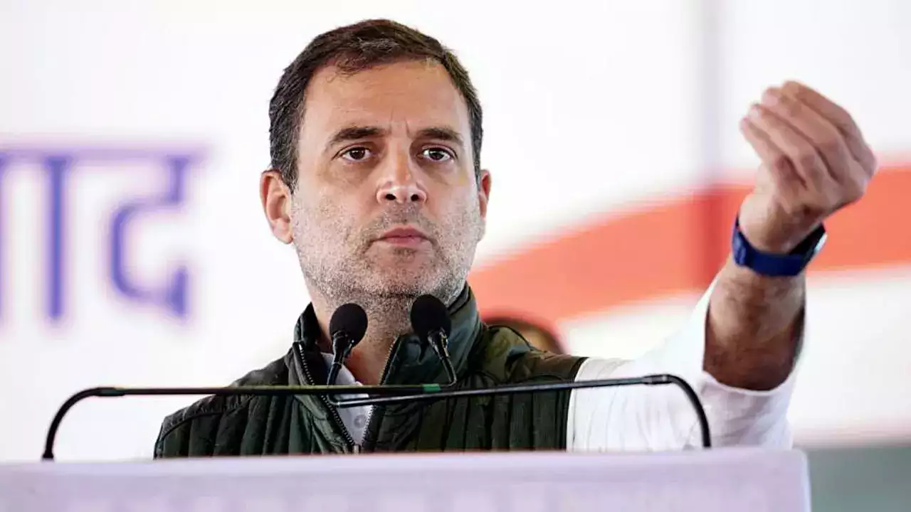 (Rahul Gandhi )