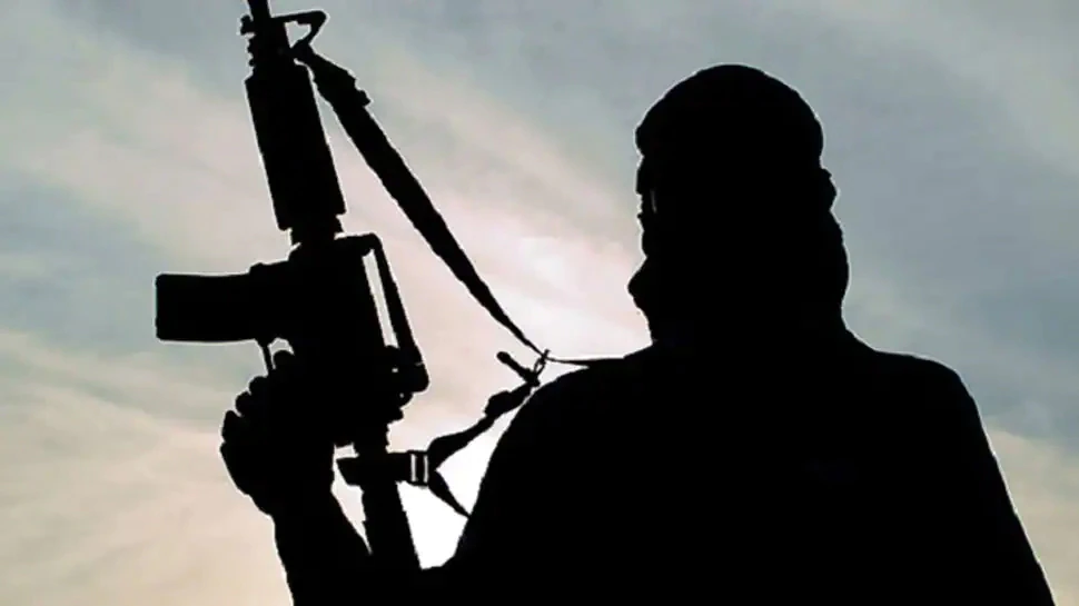 (number of terrorists):