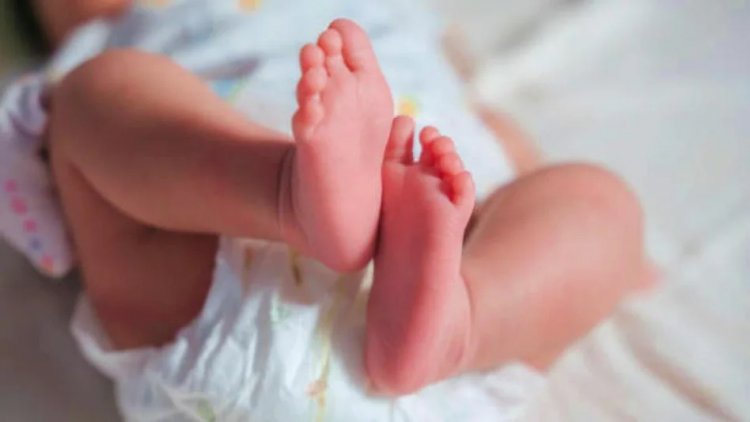 (Newborn)