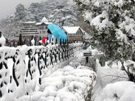 ( Mount Abu)