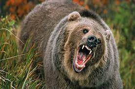  ( hunting)
