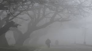 (Meteorological Department)