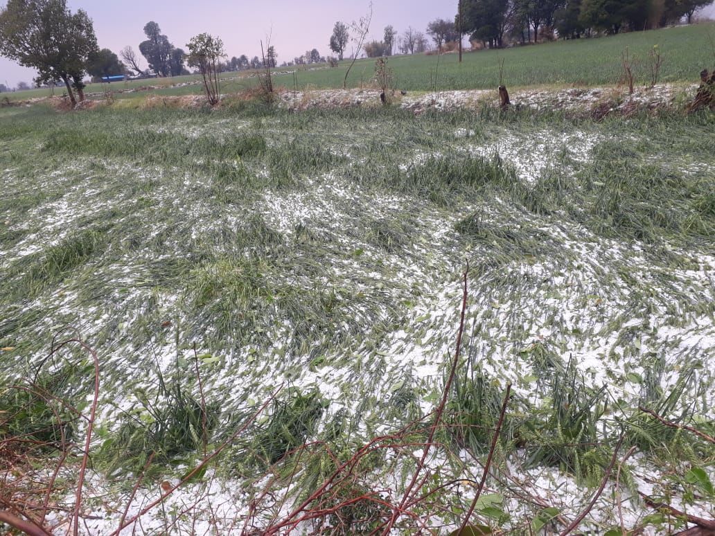 (hailstorm)