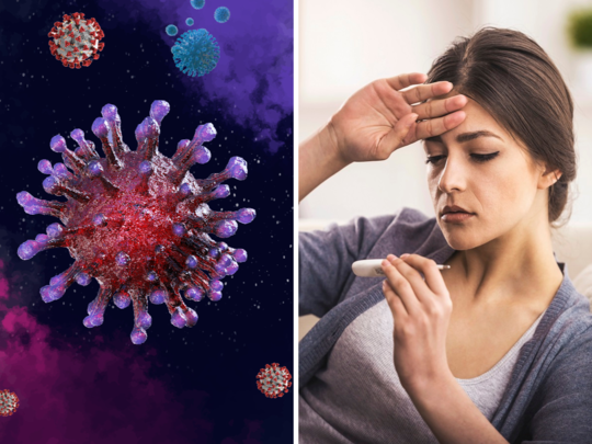 (H3N2 virus )