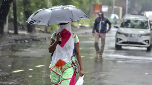 ( rain )