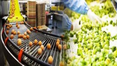 Food Processing