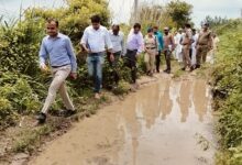 जिलाधिकारी