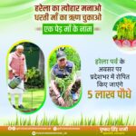 5 लाख पौधे रोपित