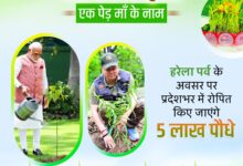 5 लाख पौधे रोपित