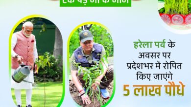 5 लाख पौधे रोपित