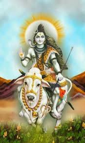 (राशिफल )