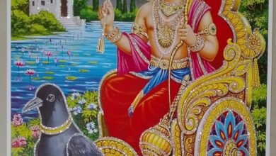 ( राशिफल)