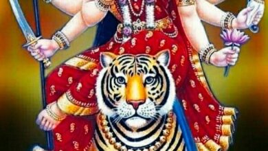 ( राशिफल)