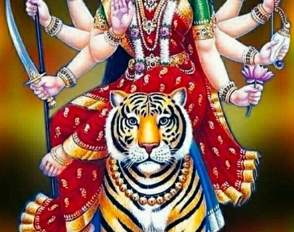 ( राशिफल)
