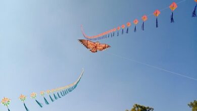 पतंगबाजी का खतरनाक रूप फिर सामने