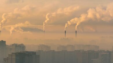 शहर में वायु गुणवत्ता (AQI) विश्व स्वास्थ्य संगठन (WHO) के मानकों से 10 गुना अधिक खतरनाक