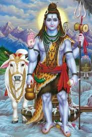 (राशिफल )