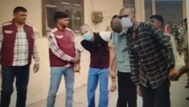 बंदर-भालू गैंग
