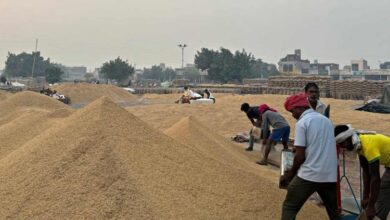 मार्कफेड