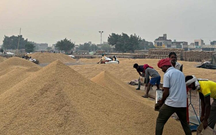 मार्कफेड