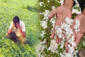 ओलावृष्टि से तबाही