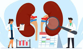kidney racket