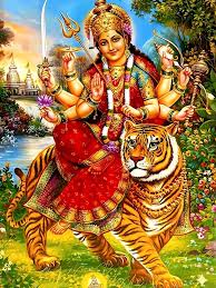  ( राशिफल-) 
