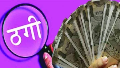 Fraud Case