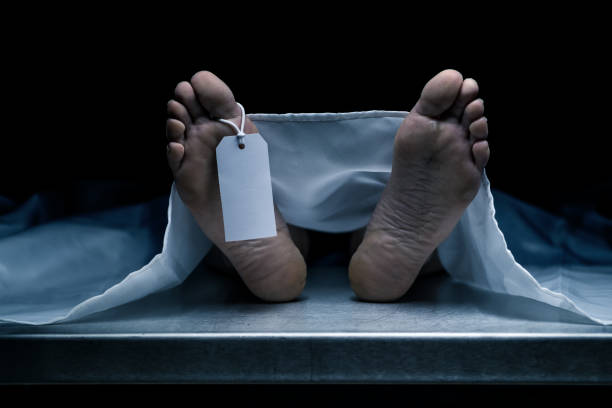 प्रॉपर्टी विवाद