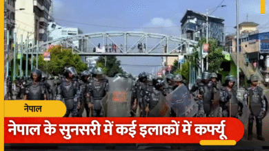   (हिंसा )