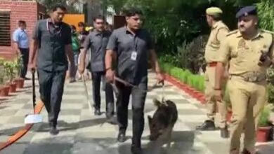 डॉग स्क्वॉड
