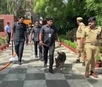 डॉग स्क्वॉड