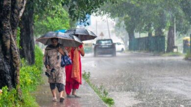 Punjab Weather