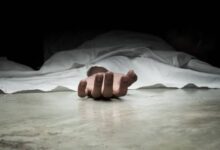 Pregnant Woman Murder Case