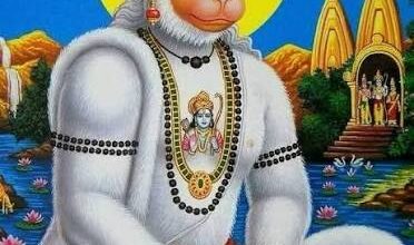 ( राशिफल )
