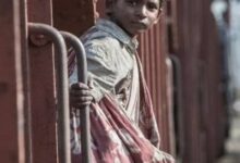 Haryana Baby Trafficking