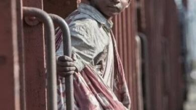 Haryana Baby Trafficking
