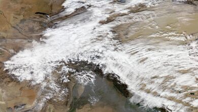वेस्टर्न डिस्टरबेंस