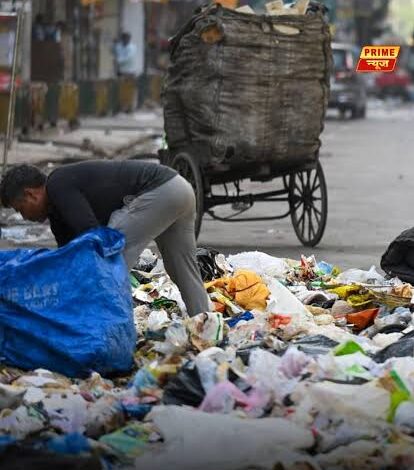 सॉलिड वेस्ट मैनेजमेंट