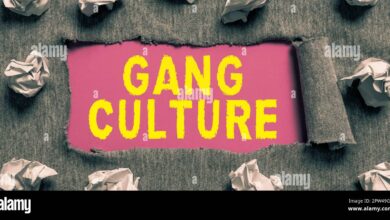 गैंग कल्चर